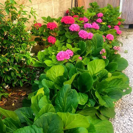 Mari Casa Apartman Minturno