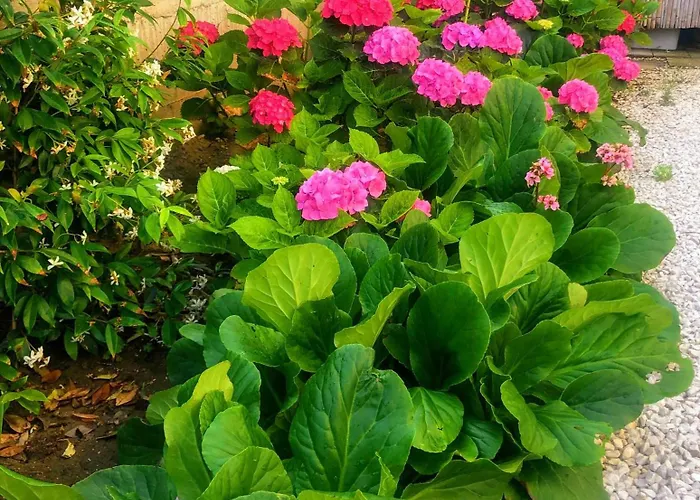 Mari Casa Apartmán Minturno