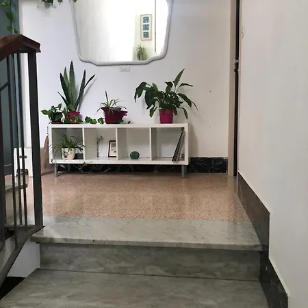 Mari Casa